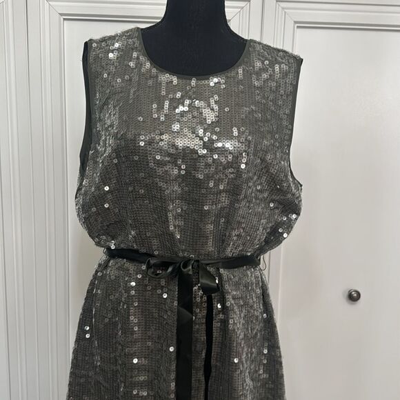 Velvet by Graham & Spencer for Anthropologie Silver Sheath Mini Dress - Picture 4 of 7